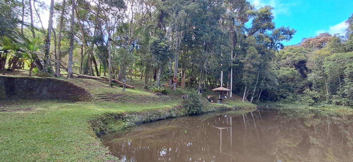 Chácara à venda com 3 quartos, 11000m² - Foto 23