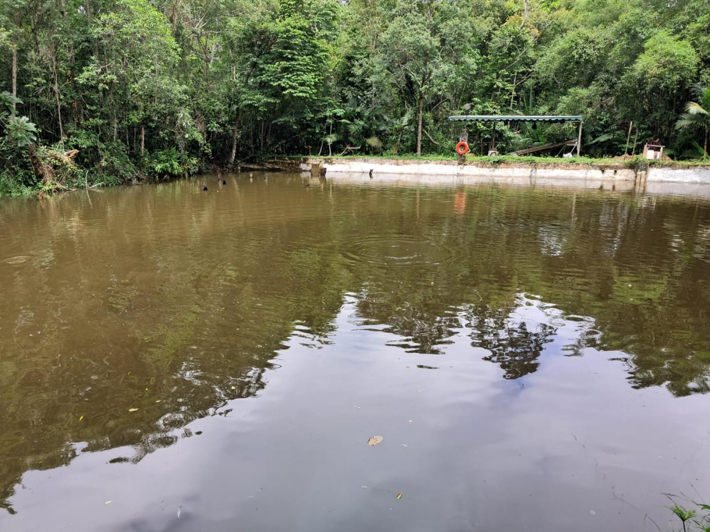 Chácara à venda com 3 quartos, 11000m² - Foto 24