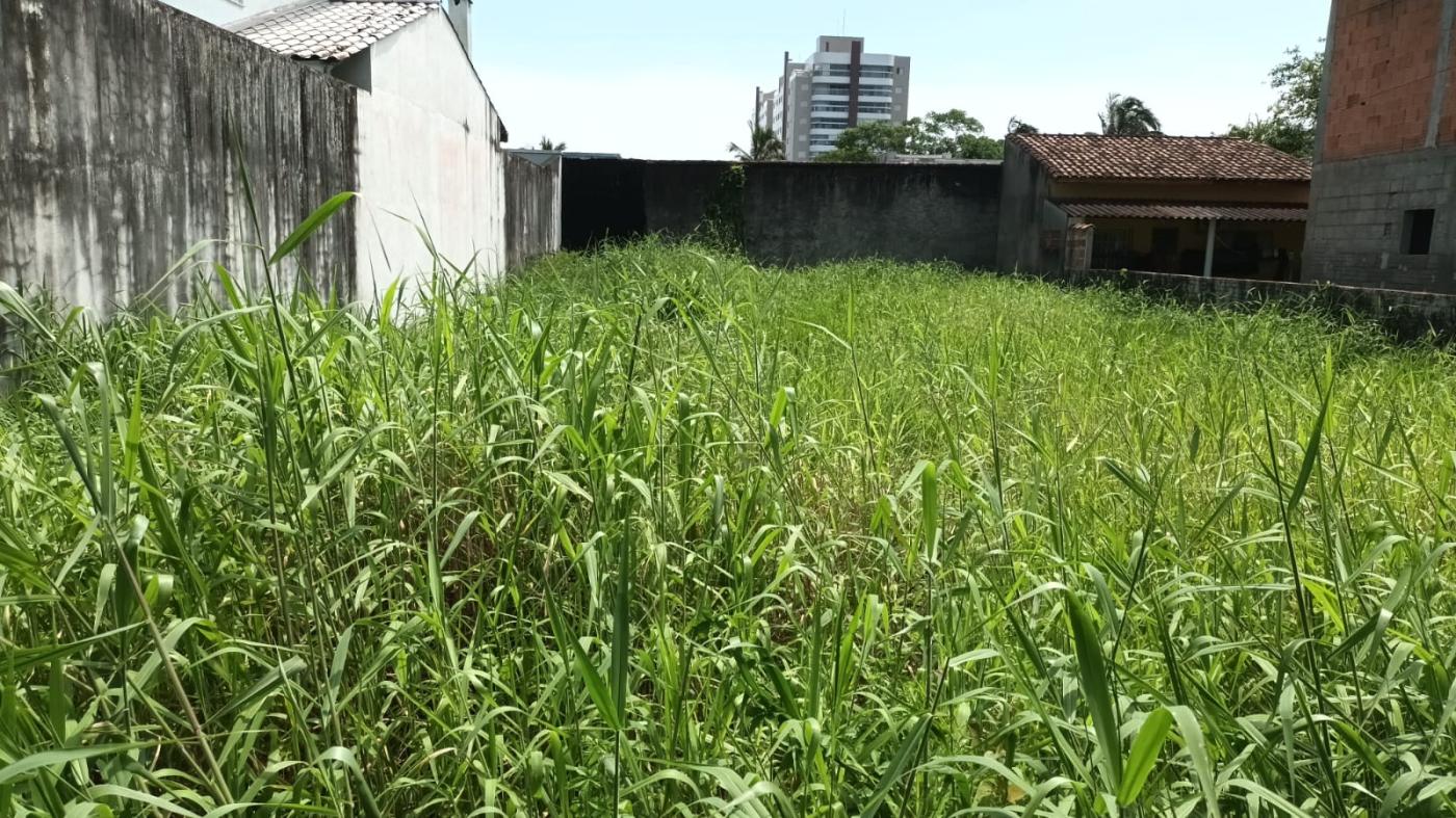 Terreno à venda, 300m² - Foto 1